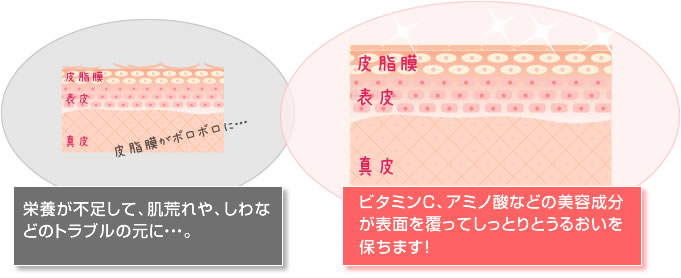 栄養が不足して、肌荒れや、しわなどのトラブルの元に・・・。ビタミンC、アミノ酸などの美容成分が表面を覆ってしっとりとうるおいを保ちます!