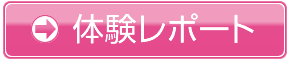 体験レポート